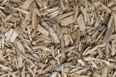 biomass boilers Pippacott