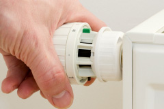 Pippacott central heating repair costs